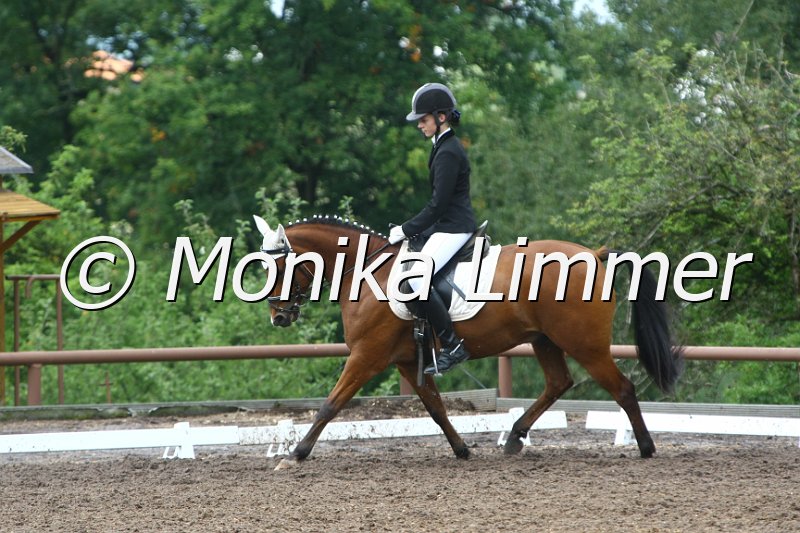 109M3667_Good lucky boy_Dressur E.JPG